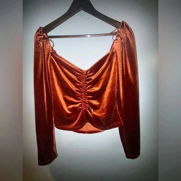 ASTR women’s The Label X Revolve Velvet‎ Vanya long sleeve crop Top Rust Medium - Picture 1 of 4